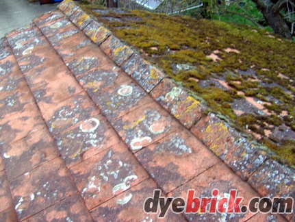 Roof After Scraping